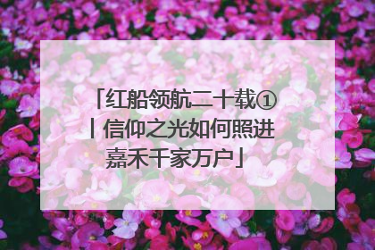 红船领航二十载①丨信仰之光如何照进嘉禾千家万户