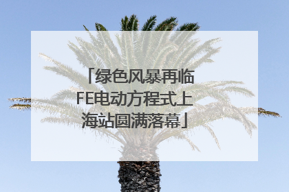 绿色风暴再临 FE电动方程式上海站圆满落幕