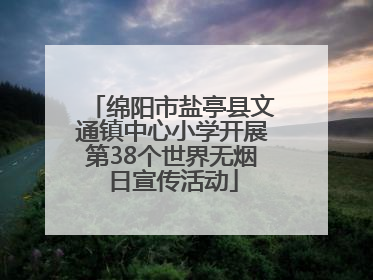 绵阳市盐亭县文通镇中心小学开展第38个世界无烟日宣传活动