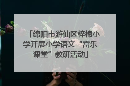 绵阳市游仙区梓棉小学开展小学语文“富乐课堂”教研活动