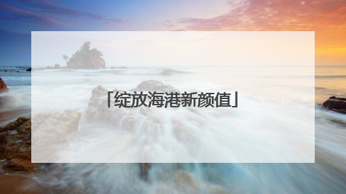 绽放海港新颜值