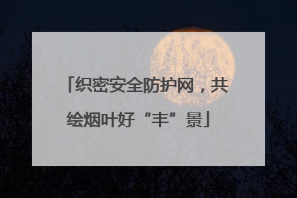 织密安全防护网，共绘烟叶好“丰”景
