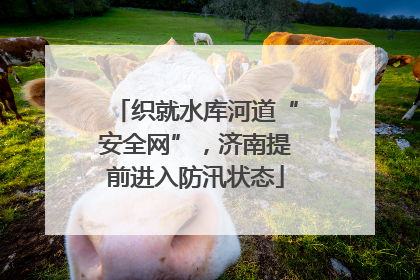 织就水库河道“安全网”，济南提前进入防汛状态