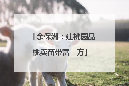 余保洲：建桃园品桃卖苗带富一方