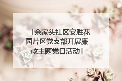 余家头社区安胜花园片区党支部开展廉政主题党日活动