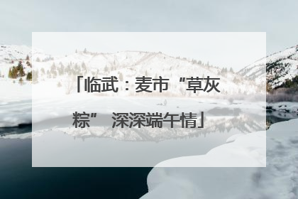 临武：麦市“草灰粽” 深深端午情