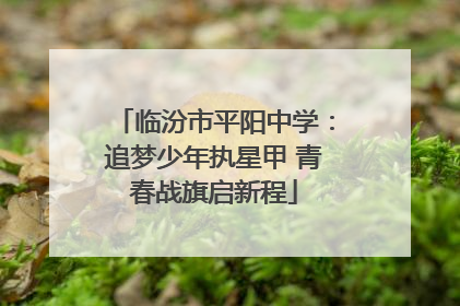 临汾市平阳中学：追梦少年执星甲 青春战旗启新程