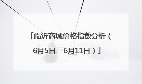 临沂商城价格指数分析（6月5日—6月11日）