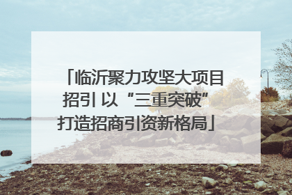 临沂聚力攻坚大项目招引 以“三重突破”打造招商引资新格局