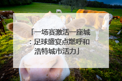 一场赛激活一座城：足球盛宴点燃呼和浩特城市活力