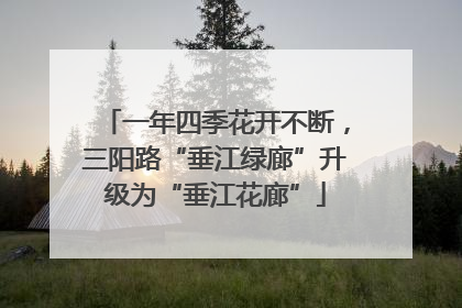 一年四季花开不断，三阳路“垂江绿廊”升级为“垂江花廊”