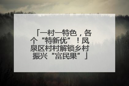 一村一特色，各个“特新优”！凤泉区村村解锁乡村振兴“富民果”