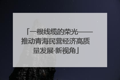 一根线缆的荣光——推动青海民营经济高质量发展·新视角