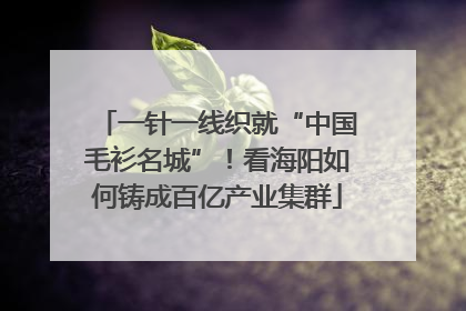 一针一线织就“中国毛衫名城”！看海阳如何铸成百亿产业集群
