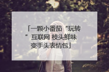 一颗小番茄“玩转”互联网 枝头鲜味变手头表情包