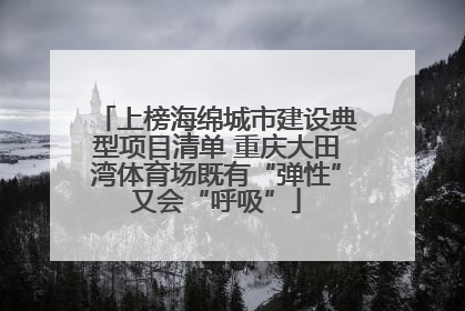 上榜海绵城市建设典型项目清单 重庆大田湾体育场既有“弹性”又会“呼吸”