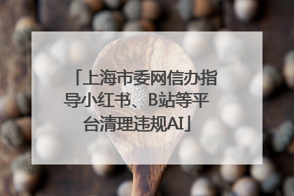上海市委网信办指导小红书、B站等平台清理违规AI