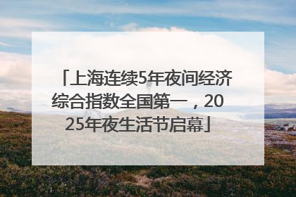 上海连续5年夜间经济综合指数全国第一，2025年夜生活节启幕