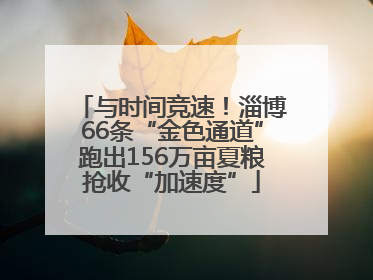 与时间竞速！淄博66条“金色通道”跑出156万亩夏粮抢收“加速度”