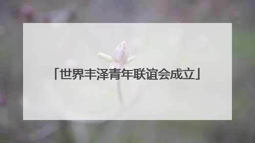 世界丰泽青年联谊会成立