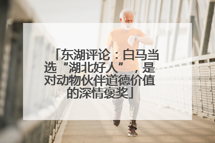 东湖评论：白马当选“湖北好人”，是对动物伙伴道德价值的深情褒奖