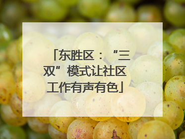 东胜区：“三双”模式让社区工作有声有色