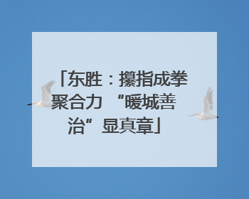 东胜：攥指成拳聚合力 “暖城善治”显真章