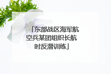 东部战区海军航空兵某团组织长航时反潜训练