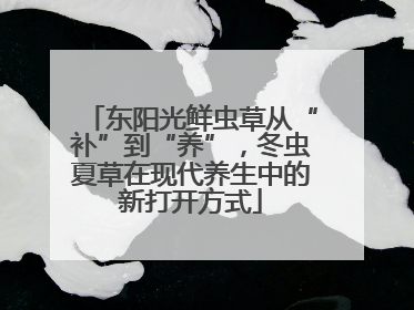 东阳光鲜虫草从“补”到“养”，冬虫夏草在现代养生中的新打开方式