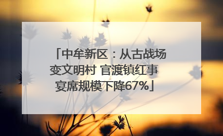 中牟新区：从古战场变文明村 官渡镇红事宴席规模下降67%