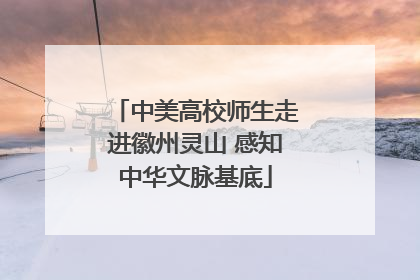 中美高校师生走进徽州灵山 感知中华文脉基底