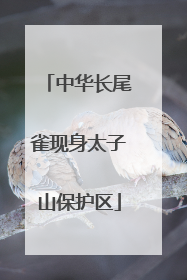 中华长尾雀现身太子山保护区