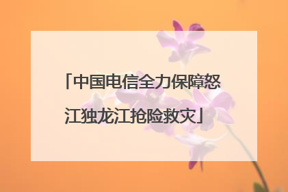 中国电信全力保障怒江独龙江抢险救灾