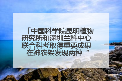 中国科学院昆明植物研究所和深圳兰科中心联合科考取得重要成果 在神农架发现两种“国保”级兰花