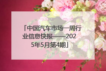 中国汽车市场一周行业信息快报——2025年5月第4期