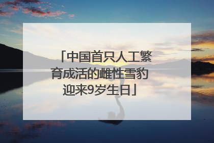 中国首只人工繁育成活的雌性雪豹迎来9岁生日