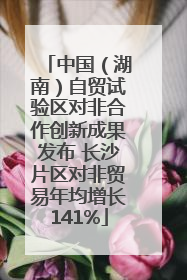 中国（湖南）自贸试验区对非合作创新成果发布 长沙片区对非贸易年均增长141%