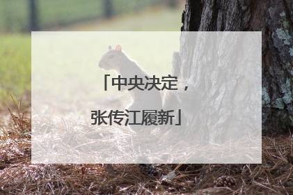 中央决定，张传江履新
