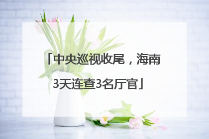 中央巡视收尾，海南3天连查3名厅官