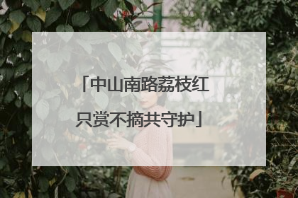 中山南路荔枝红 只赏不摘共守护