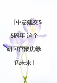 中意建交55周年 这个研习营聚焦绿色未来