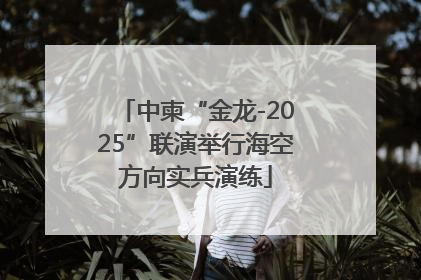 中柬“金龙-2025”联演举行海空方向实兵演练