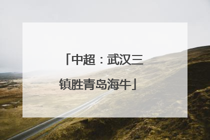 中超：武汉三镇胜青岛海牛