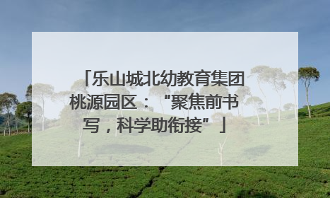 乐山城北幼教育集团桃源园区：“聚焦前书写，科学助衔接”