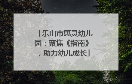 乐山市惠灵幼儿园：聚焦《指南》，助力幼儿成长