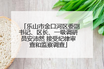 乐山市金口河区委副书记、区长、一级调研员安沛然 接受纪律审查和监察调查