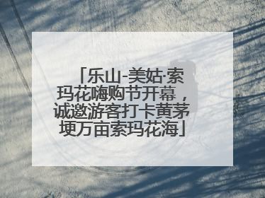 乐山-美姑·索玛花嗨购节开幕，诚邀游客打卡黄茅埂万亩索玛花海