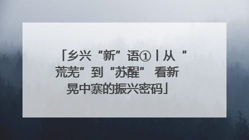乡兴“新”语①丨从“荒芜”到“苏醒” 看新晃中寨的振兴密码