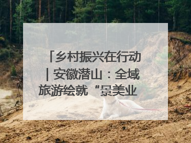 乡村振兴在行动｜安徽潜山：全域旅游绘就“景美业兴民富”新画卷