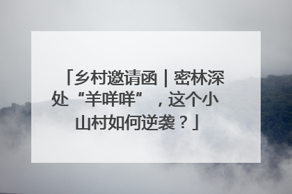 乡村邀请函｜密林深处“羊咩咩”，这个小山村如何逆袭？